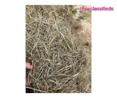 Alfalfa Timothy and Orchardgrass hay bales - Image 5/10