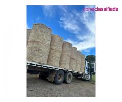 Alfalfa Timothy and Orchardgrass hay bales - Image 6/10
