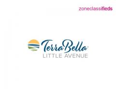 TerraBella Little Avenue - Image 3/5