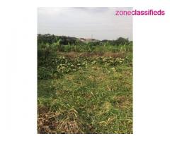 Half Plot of Land For Sale at Okeira, Ogba-Ikeja (Call 08140233971) - Image 1/2