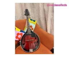 Free acoustic guitar and other used musical instruments - Image 2/4