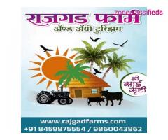 One Day Picnic spot-resort packages near Pune