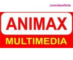 web design training in coimbatore - Animax Multimedia