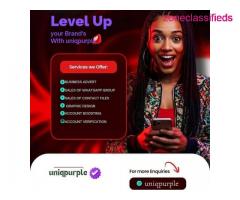 UniQ Purple: The Kingmaker – CAC Registration & Global Account Verification Nigeria