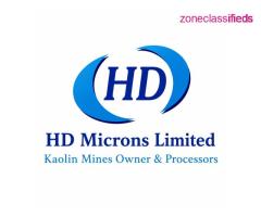 Levigated Kaolin Supplier - High-Purity China Clay Products